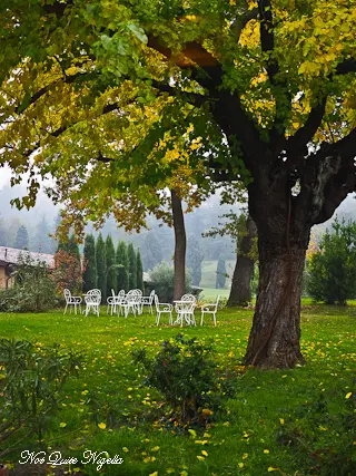 Balsamic Vinegar Italy