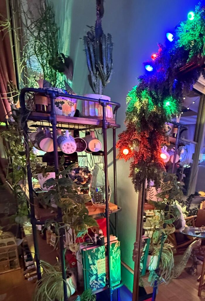 Downsized and decorated