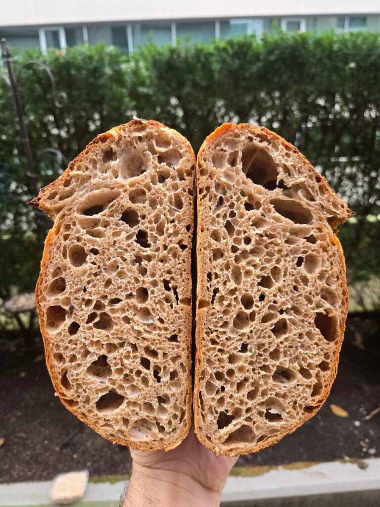 50% whole grain sprouted spelt flour, with a very long fermentation 50% whole grain sprouted spelt flour, with a very long fermentation