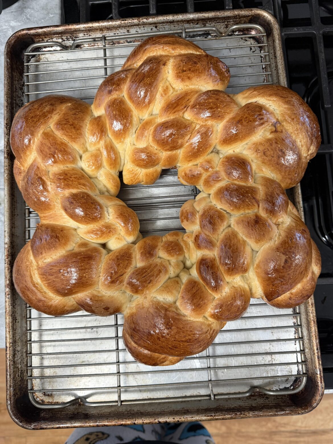 So proud of my wife's braiding for Hanukkah!