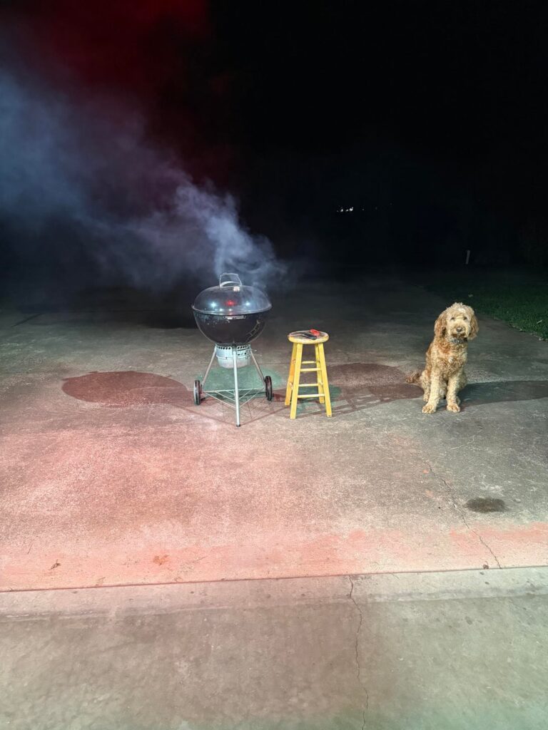 I have 3 Kamados, an offset, Weber Genesis gasser, Blackstone…but hard to beat the Weber Kettle.