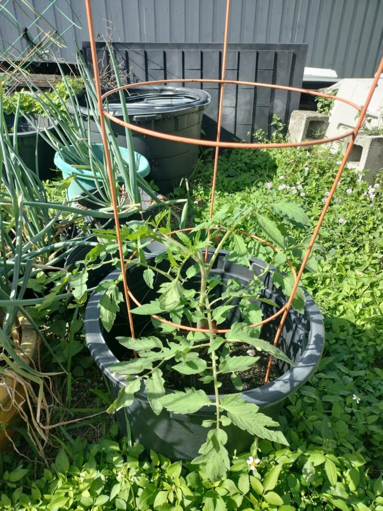 How do cross pollinate these two. How do cross pollinate these two.