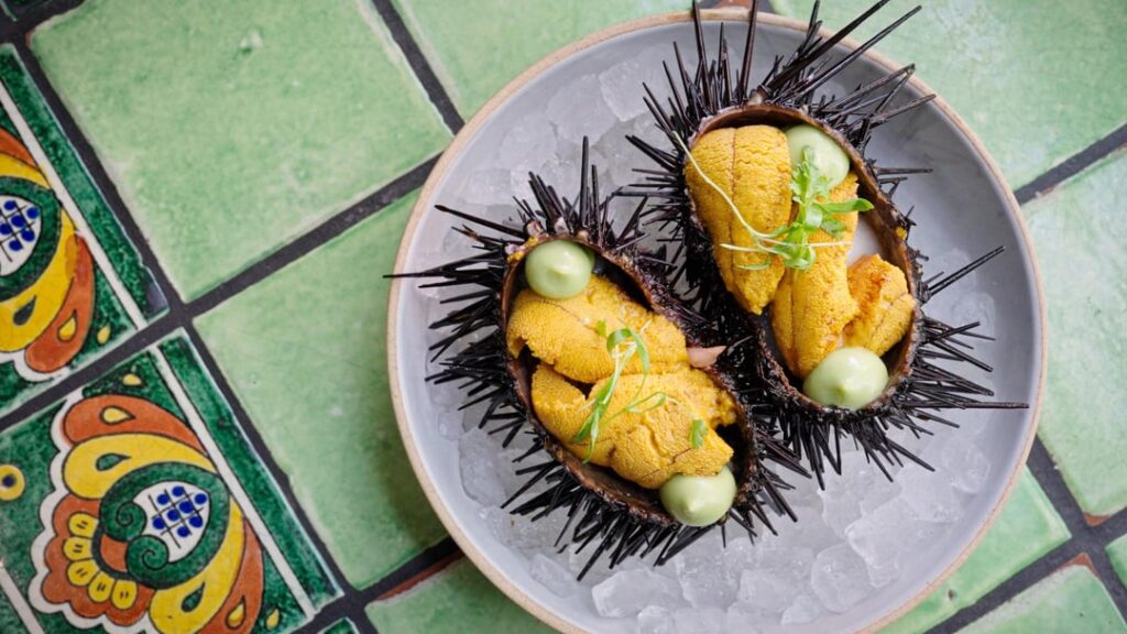 Holbox, 1*, Los Angeles