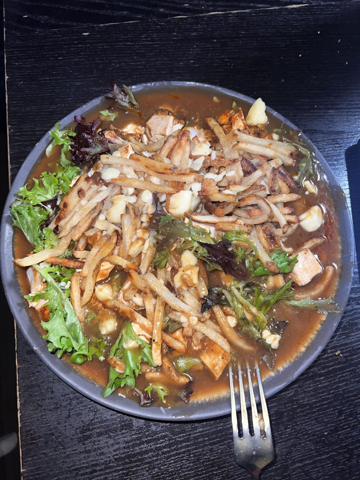 Poutine soup yeeaahh boiii