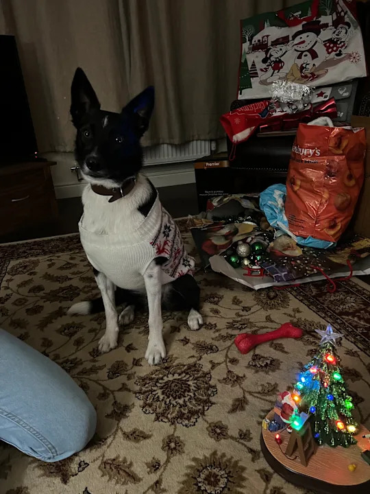 'He has a full Christmas dinner with us'