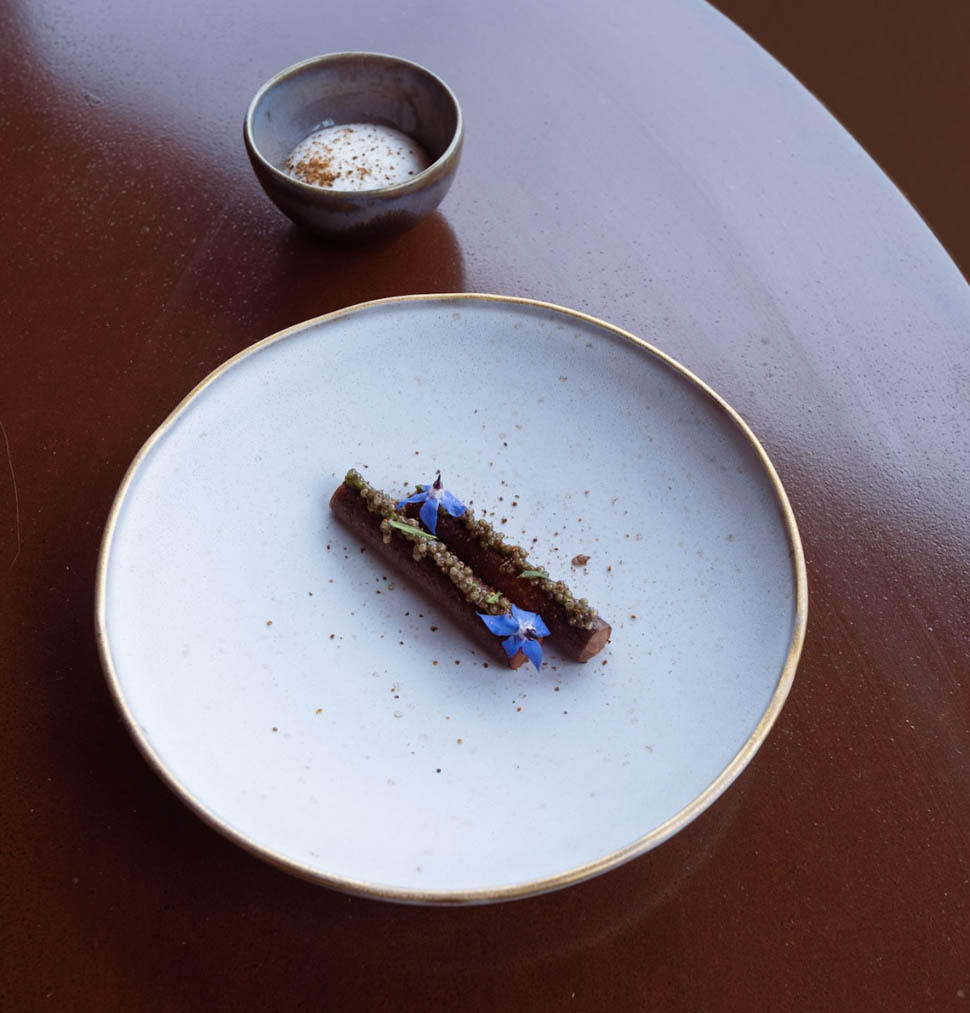 castiglion del bosco caccia tartufi 1