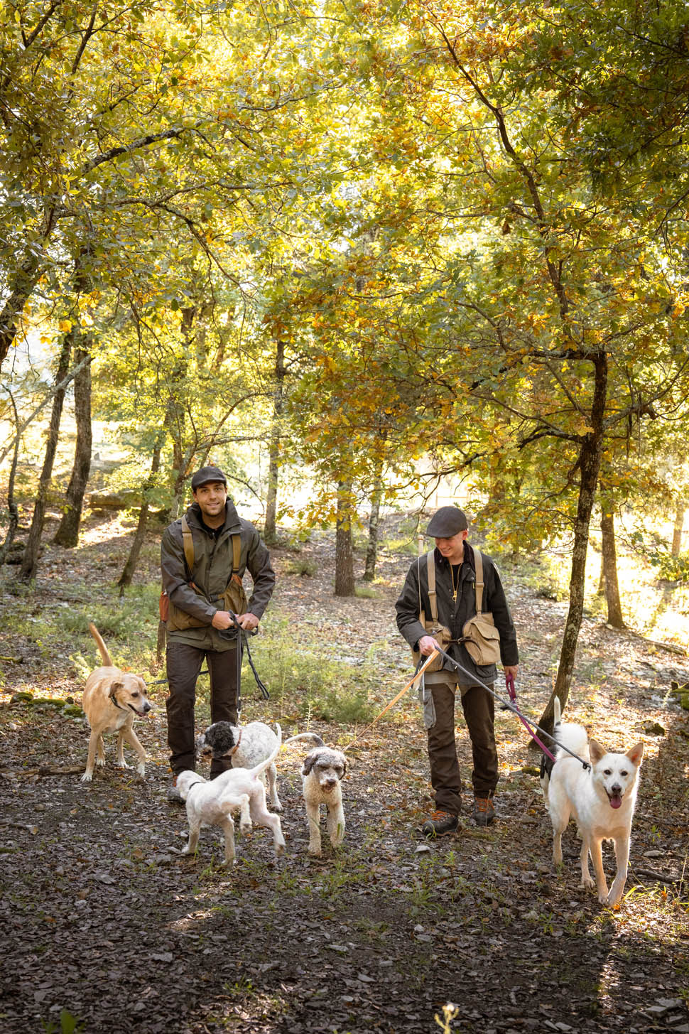 castiglion del bosco caccia tartufi 9