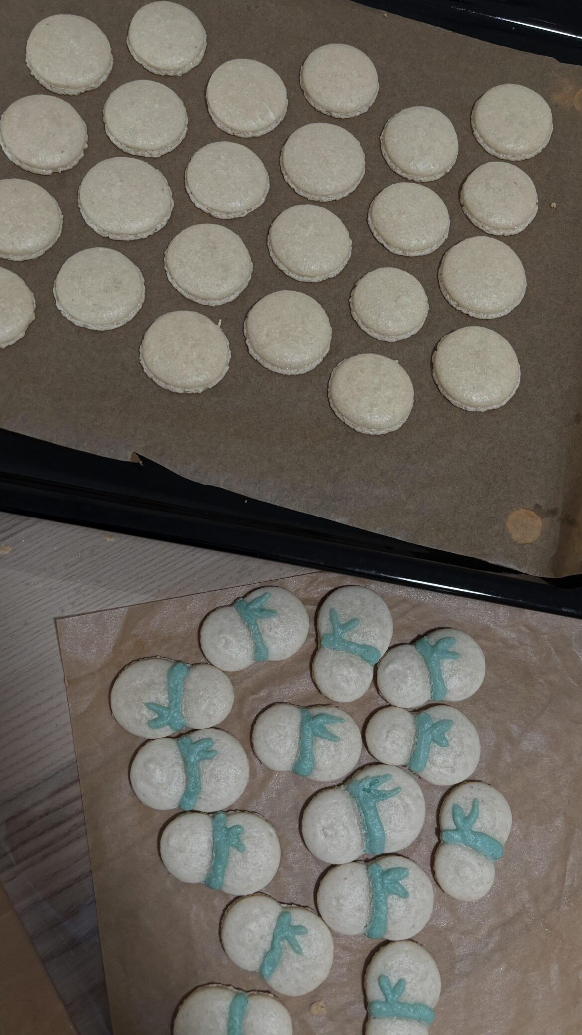 translucent macarons translucent macarons