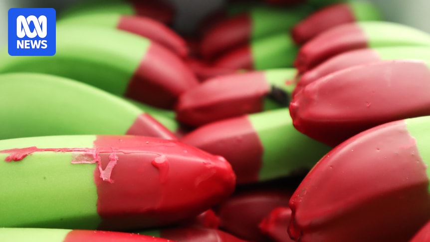 Australian red-tipped bananas go viral as social media interest ramps up Australian red-tipped bananas go viral as social media interest ramps up