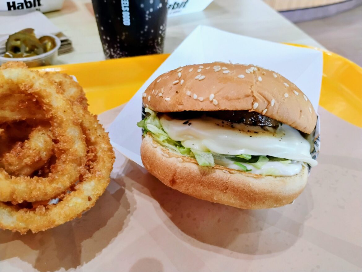 Teriyaki Cheeseburger but don't make it a HABIT!