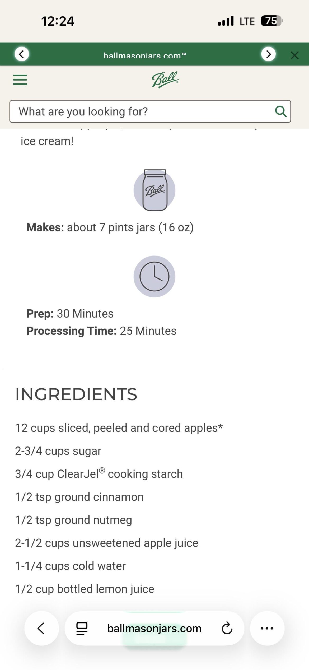 Apple pie recipe help