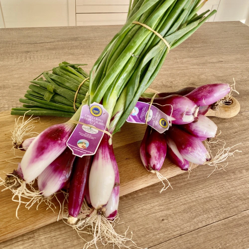 Red onion from Tropea (PGI): sweet, versatile and a symbol of Calabria's culinary identity.