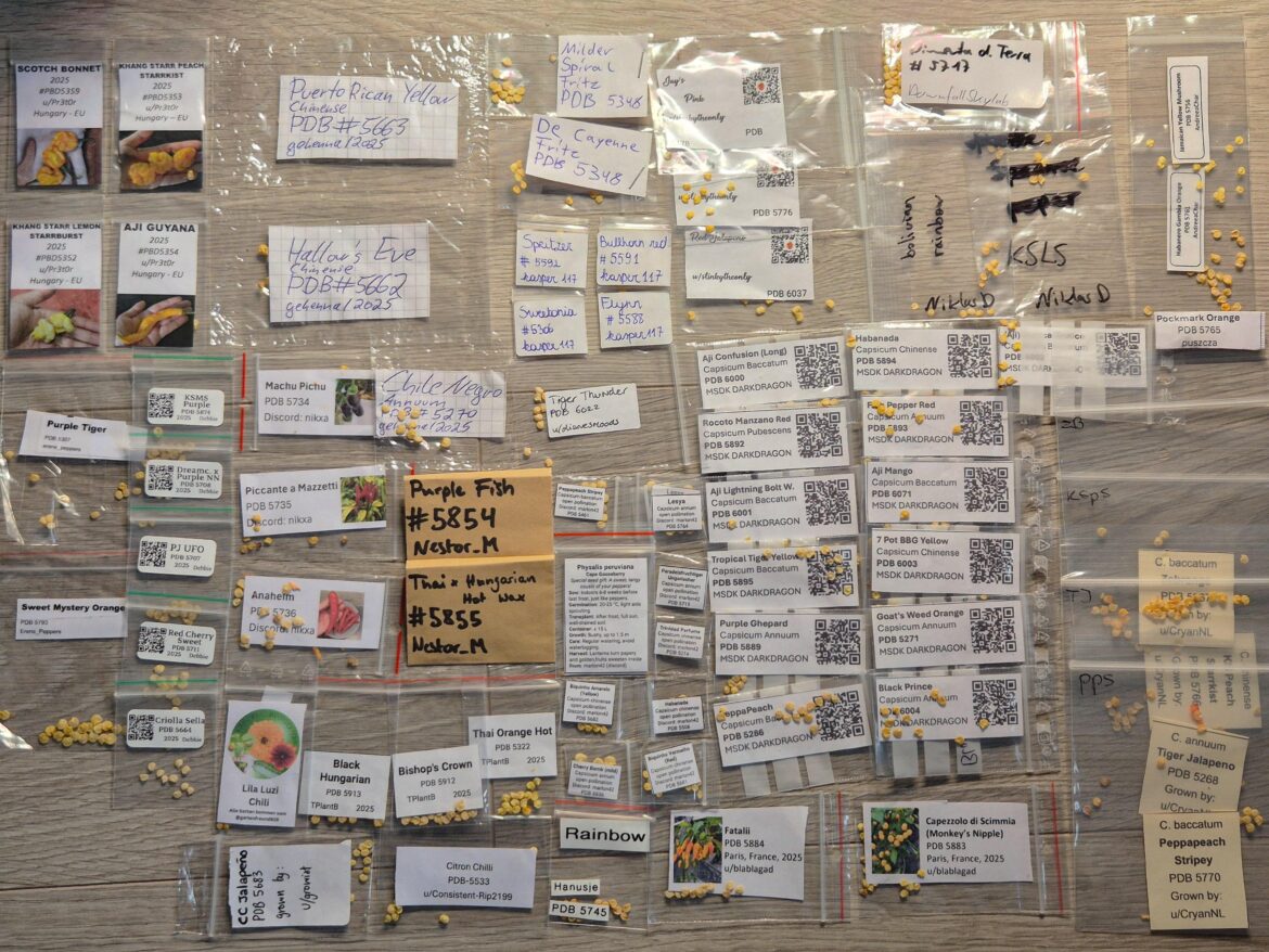 2025 Seed Exchange - So many exciting varieties!