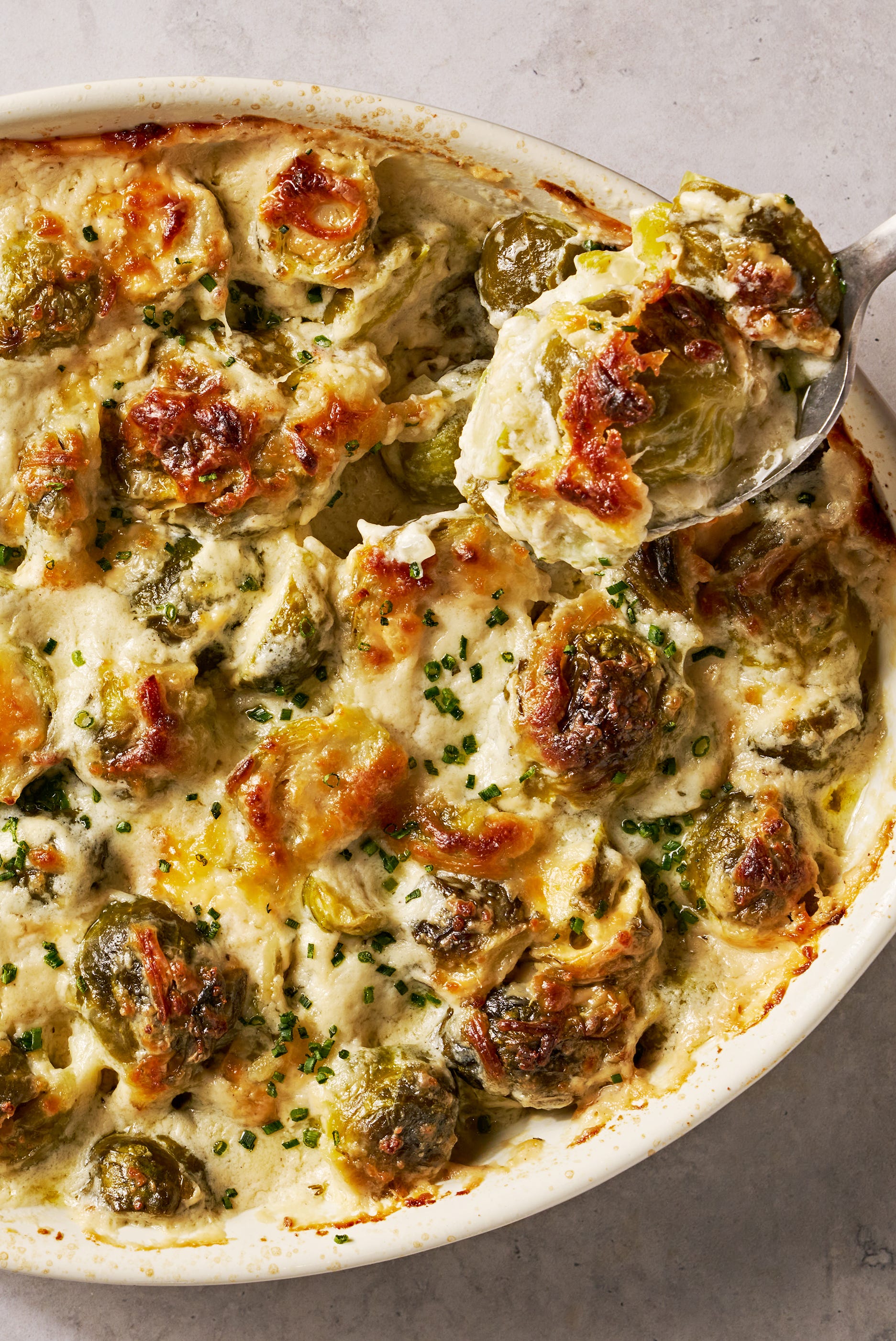 cheesy, bubbling creamed brussels sprouts in a white oval casserole dish