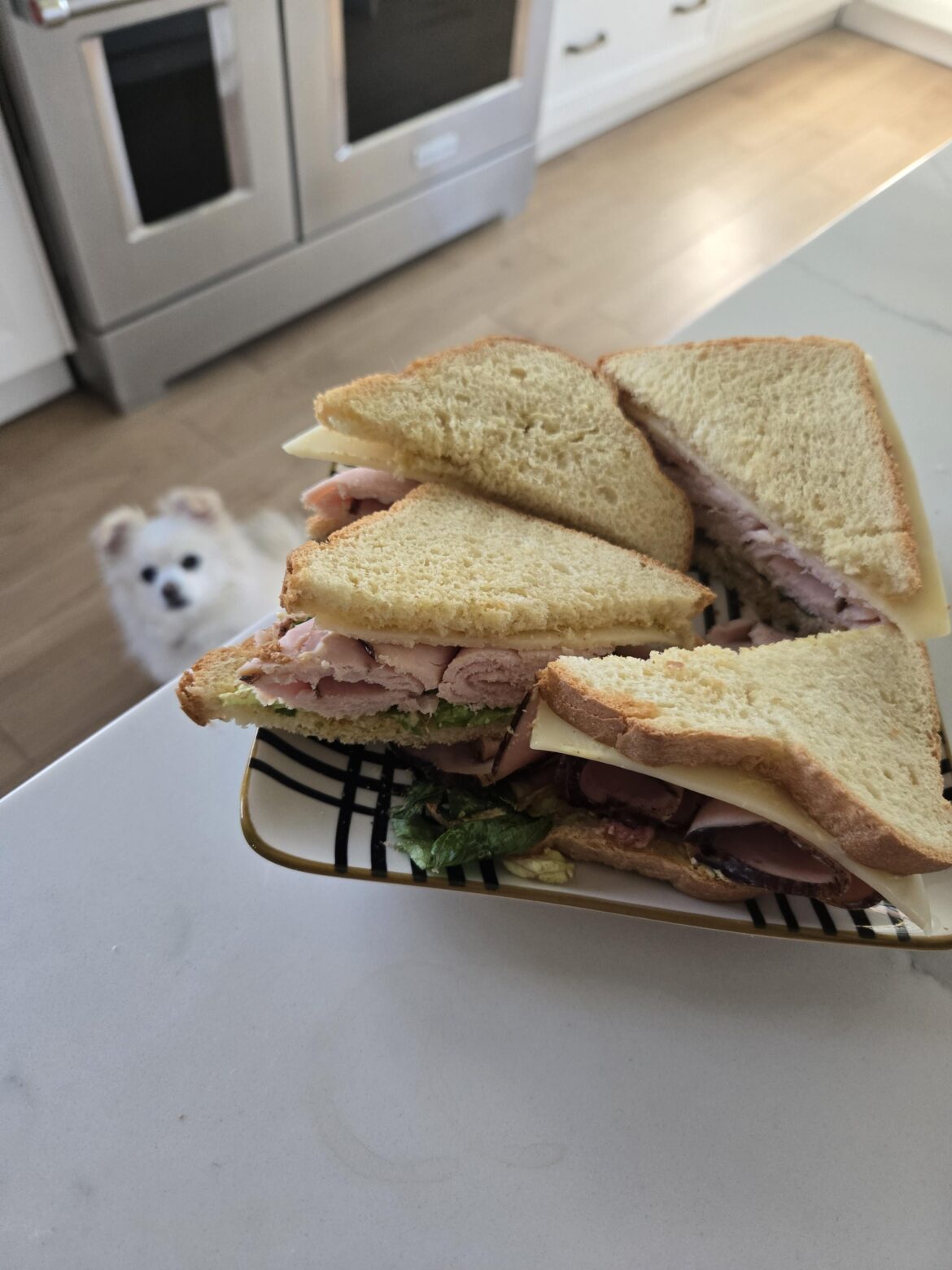 Poverty Bread sandwiches