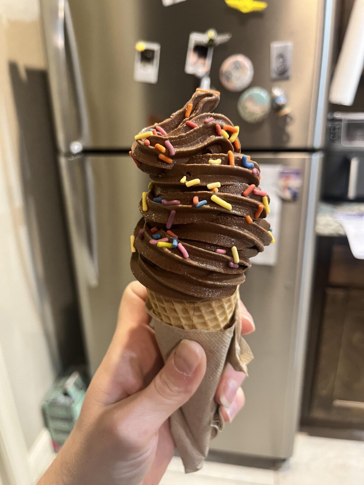 Chocolate soft serve from my Ninja Swirl