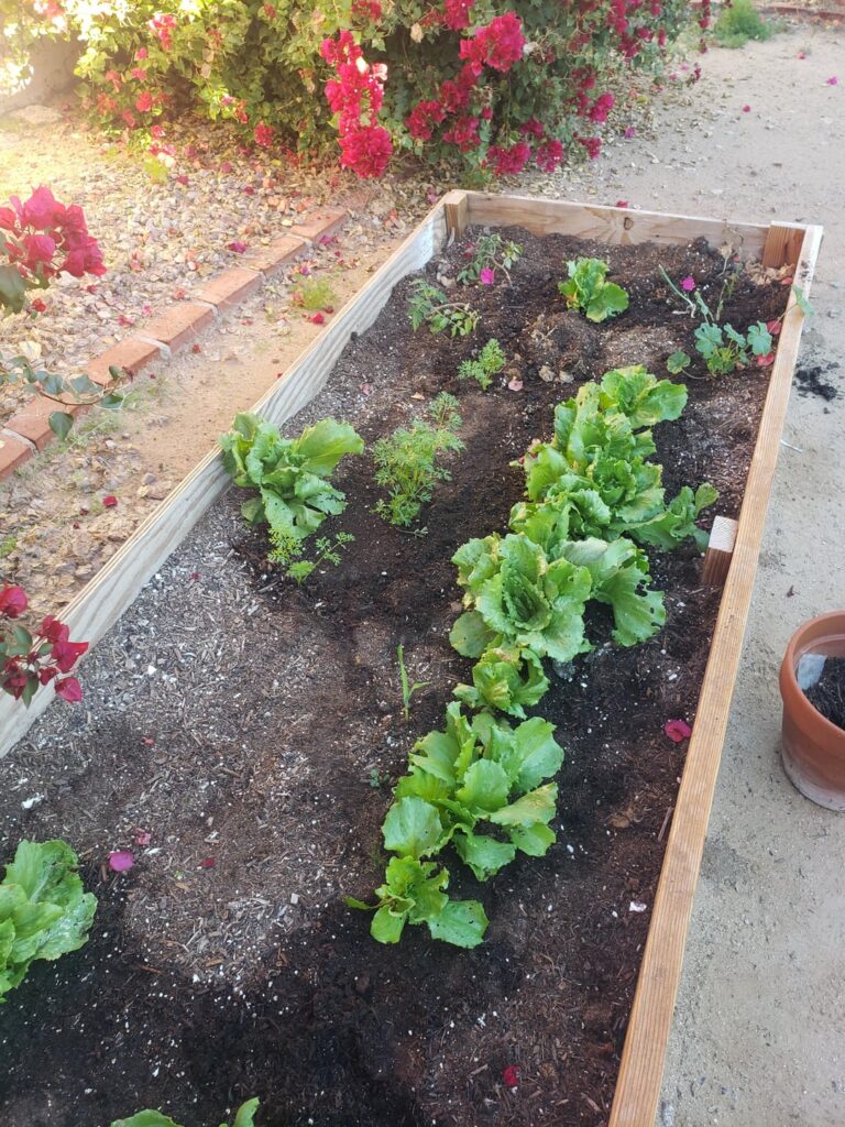 progress is progress until its not (AZ)