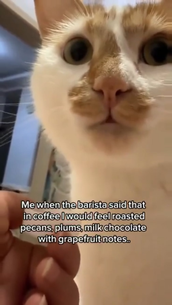 Do you actually taste all the tasting notes shown on the label? If so, Daddy Hoffman would be so proud.