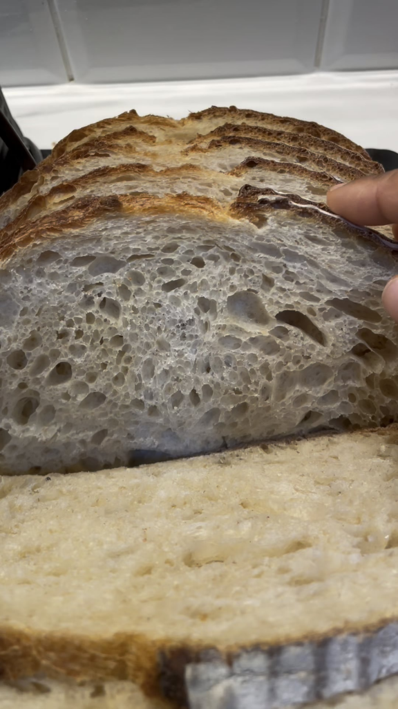 Second avocado oil trial