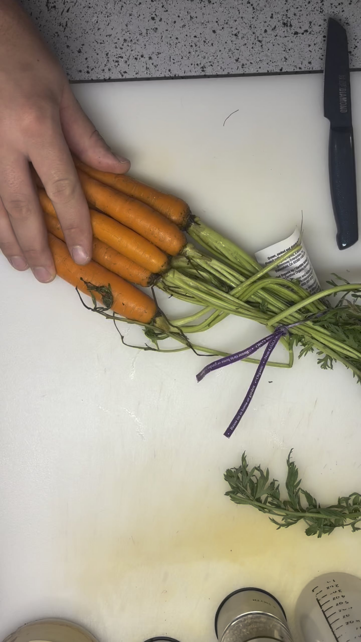 Filet Mignon, Carrots and Lobster