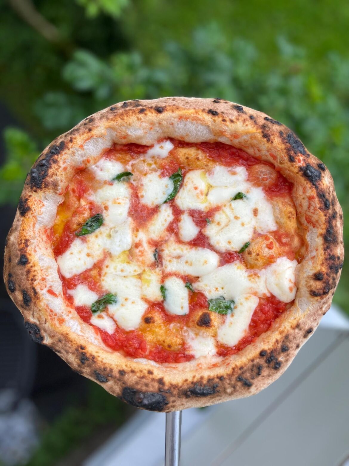 65% hydration Neapolitan pizza. I used this recipe: 650g flour (5 1/4 cups), 425g water (1 tbsp), 1g yeast (about 1/4 tsp) 28g salt (2 tbsp)
