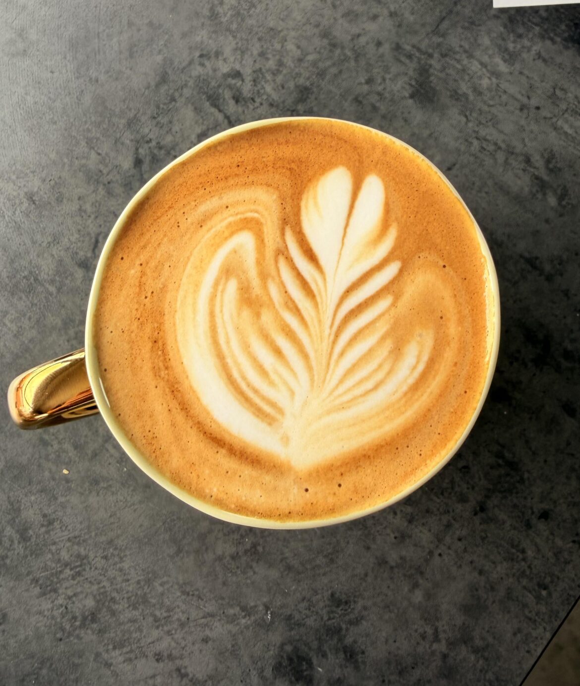 2 months since becoming a barista, pretty proud of this pour