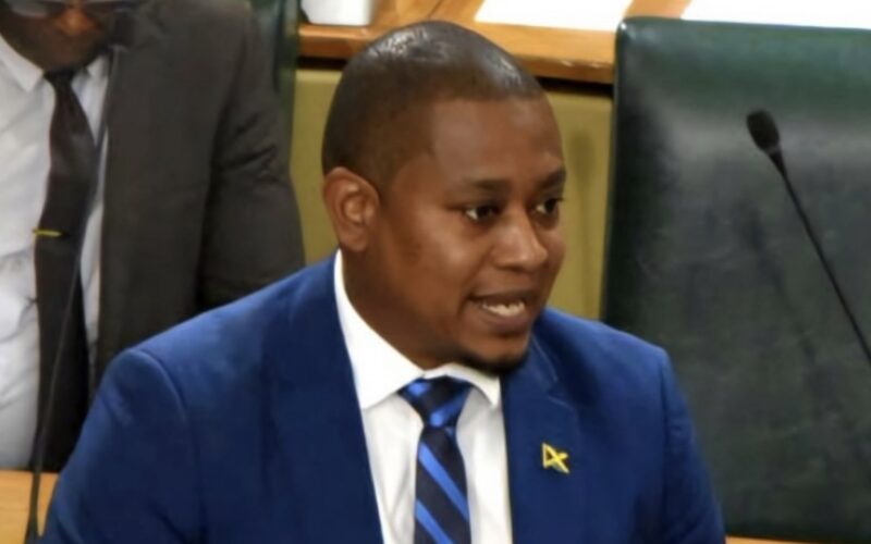 Agriculture Minister Floyd Green assures the country there will be sufficient food for the Christmas period