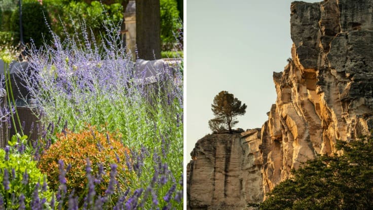 The Provençal lavender and rocks that Blumenthal finds so capitvating. © G. Gleize/L'Oustau de Baumanière