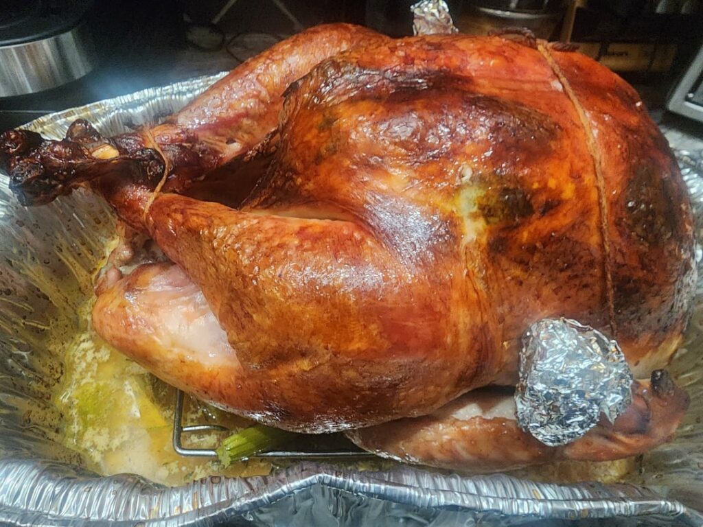 Too late to show this bird