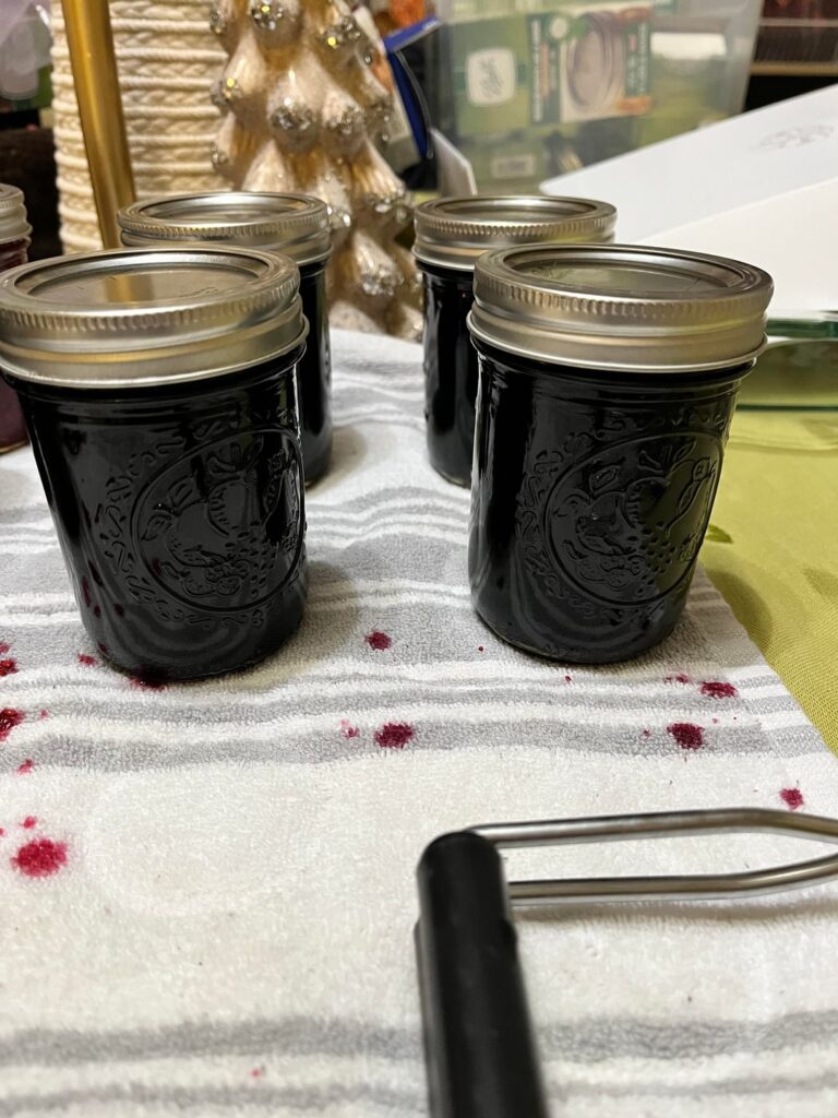 First time making jam/jelly.
