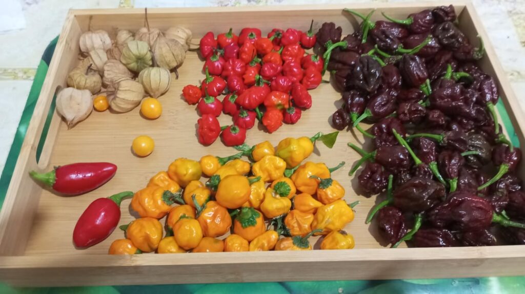 Here in Greece if you like hot stuff you're a weirdo.