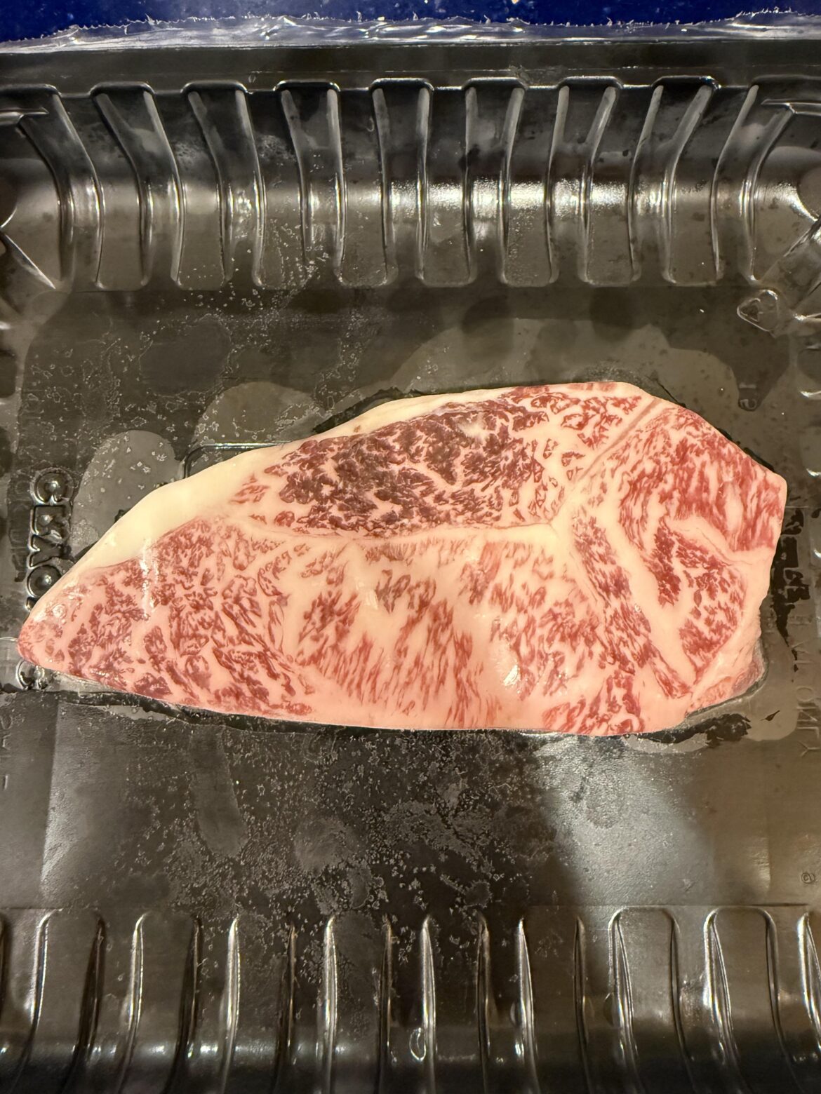 Is it normal for some of the strip to have segments like this?