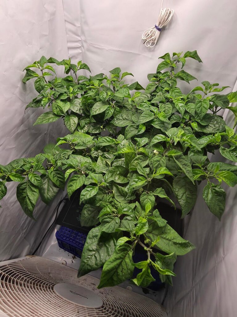 My reaper’s not very happy with me… My reaper's not very happy with me...