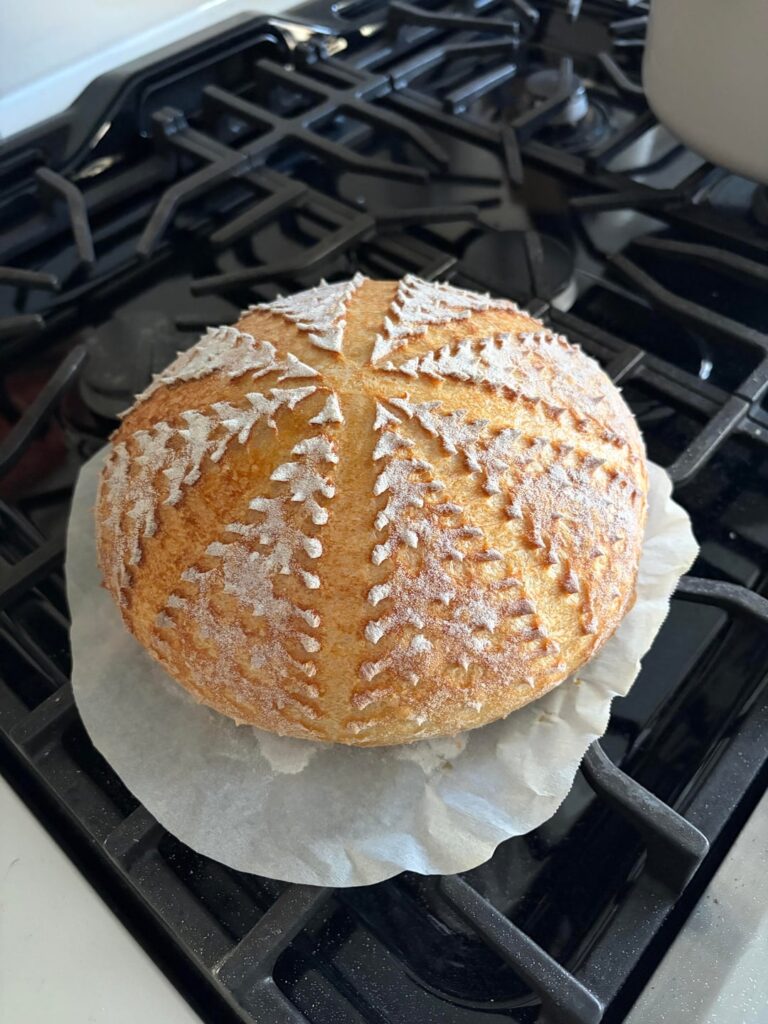 New to sour dough. Third attempt.