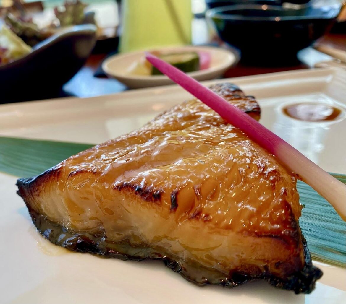 Black cod miso