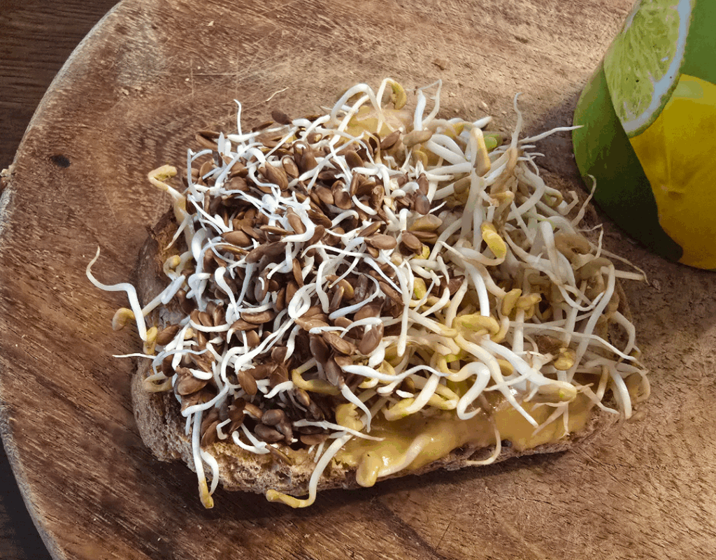 Best sprouted dinner ever!