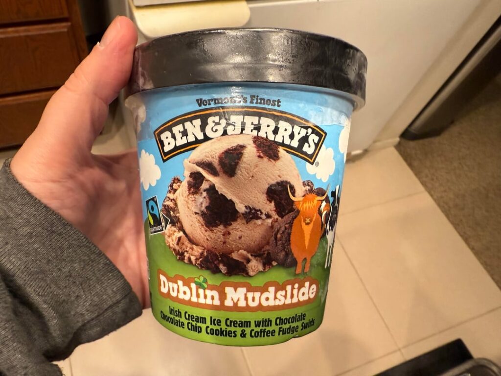 Ben & Jerry’s Dublin Mudslide