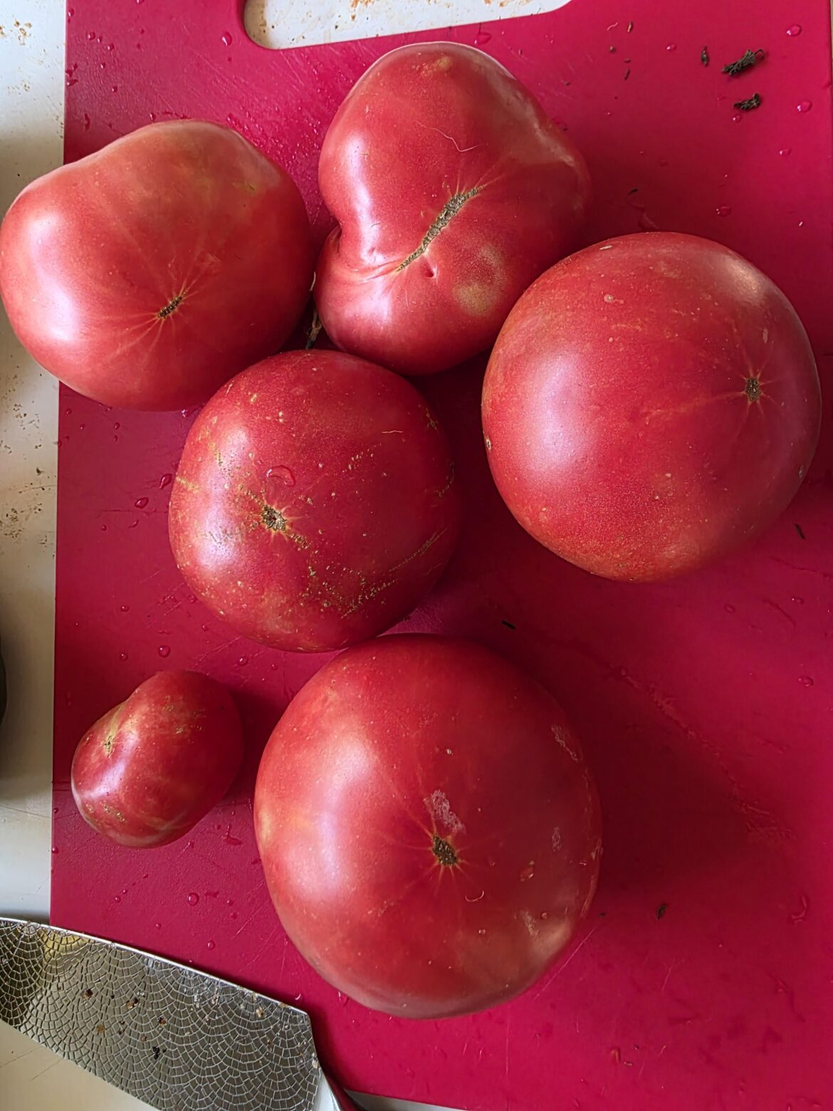 Tonight’s tomatoes! Tonight's tomatoes!