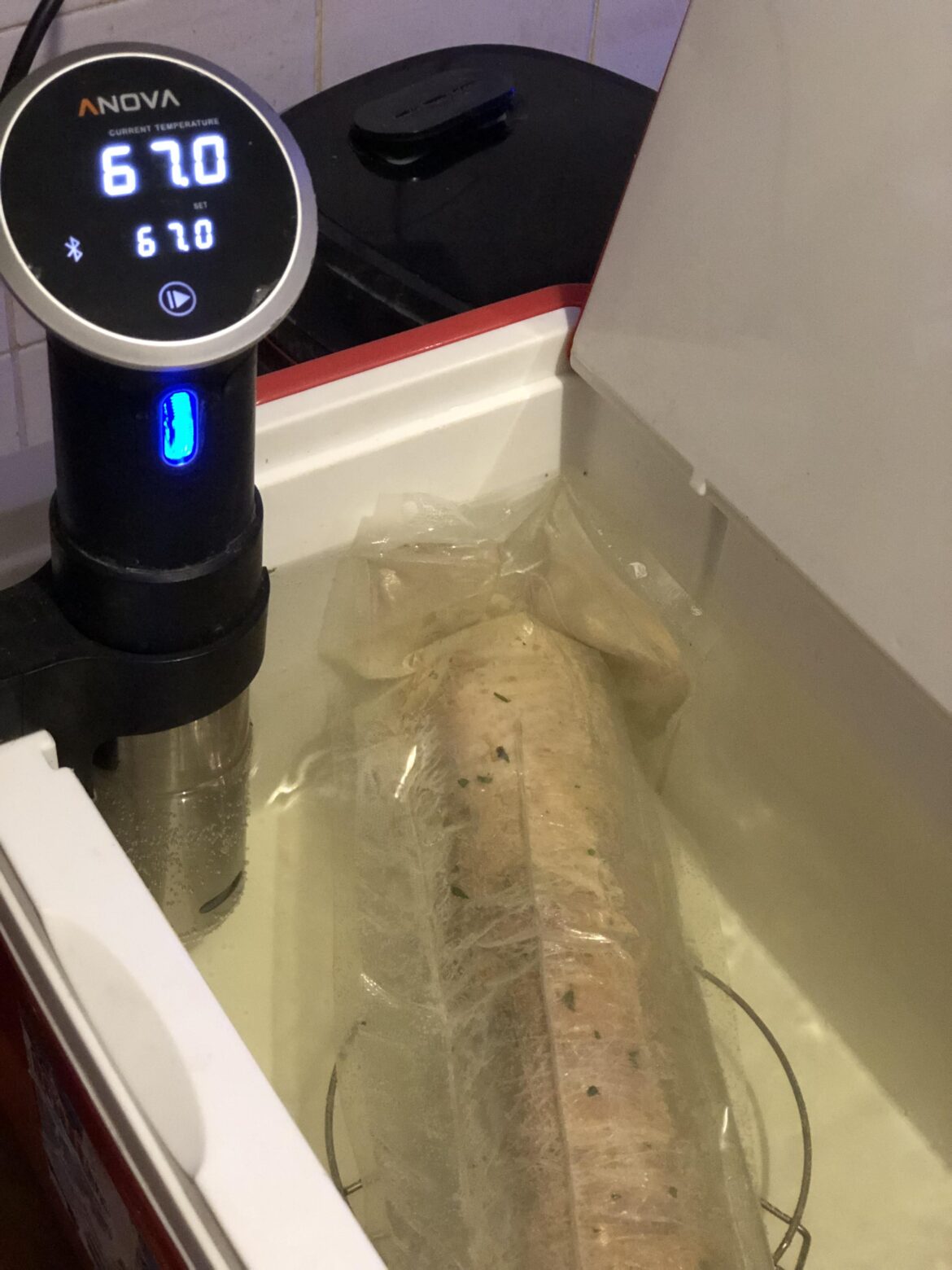 Whole boneless turkey 5h at 153F enough?