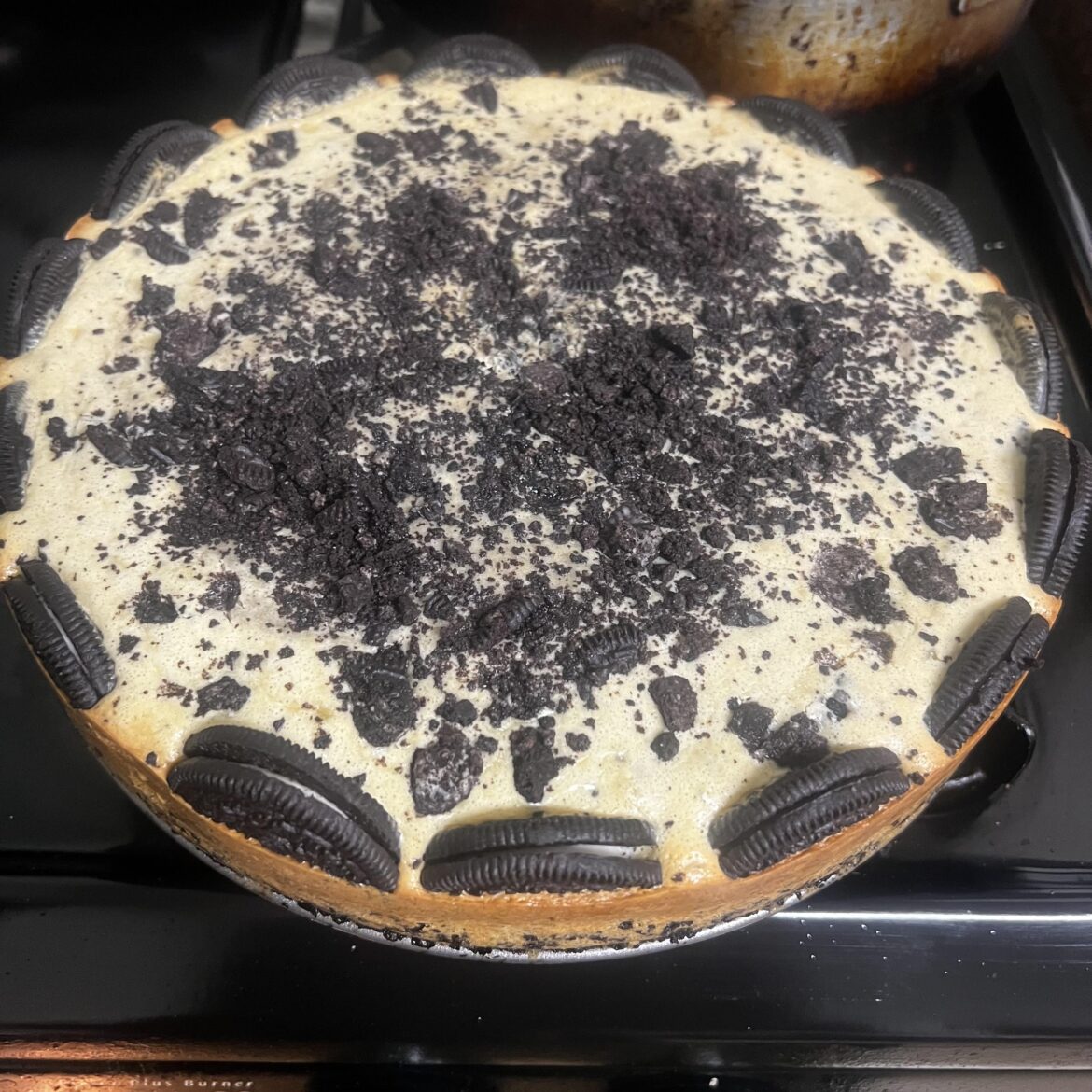 Learning how to make cheesecakes.