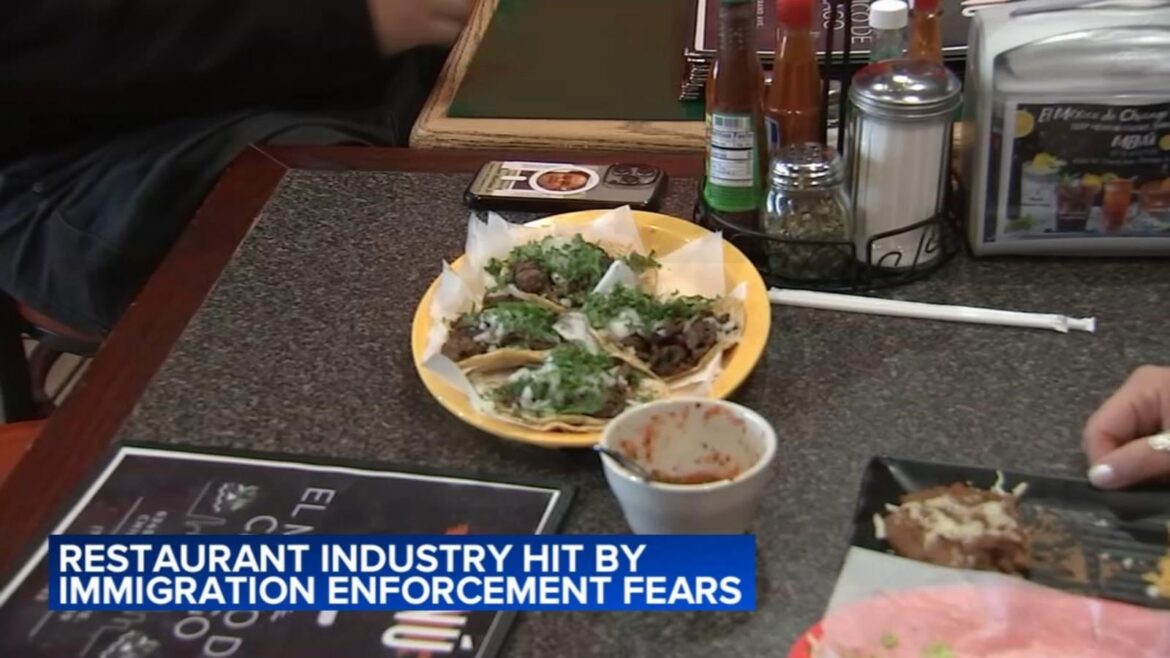 Chicago restaurants amid ICE raids