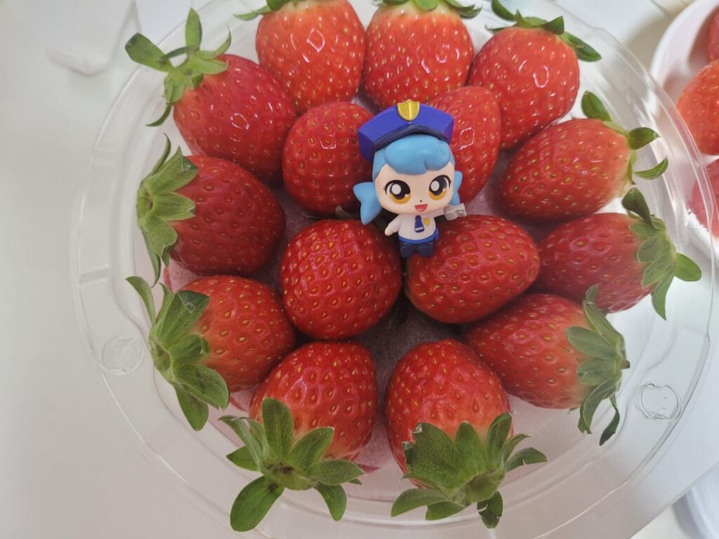 Strawberry season is back in Korea! 🍓