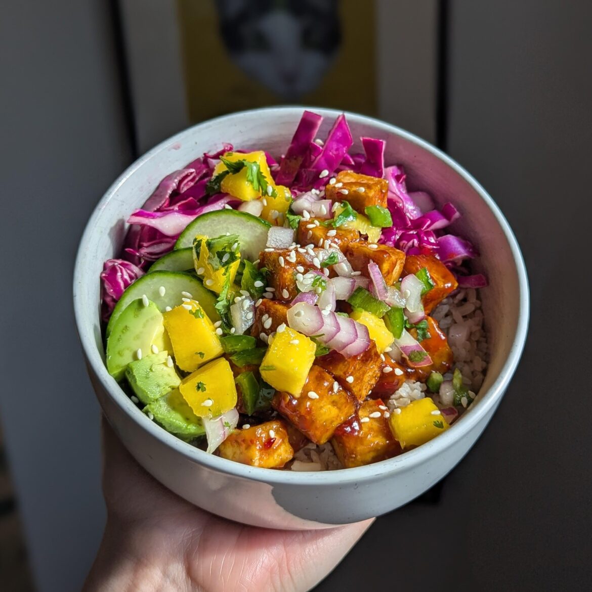 [homemade] sweet chili tofu with mango salsa and ginger lime slaw. 365/365