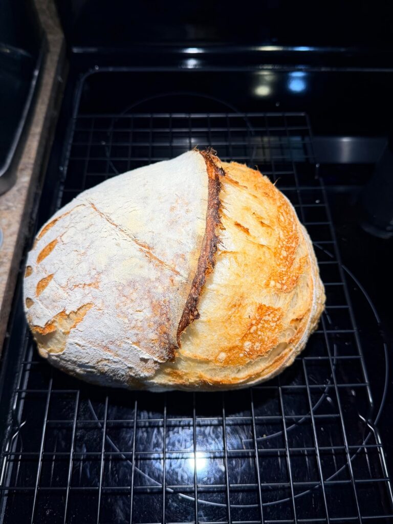 First loaf