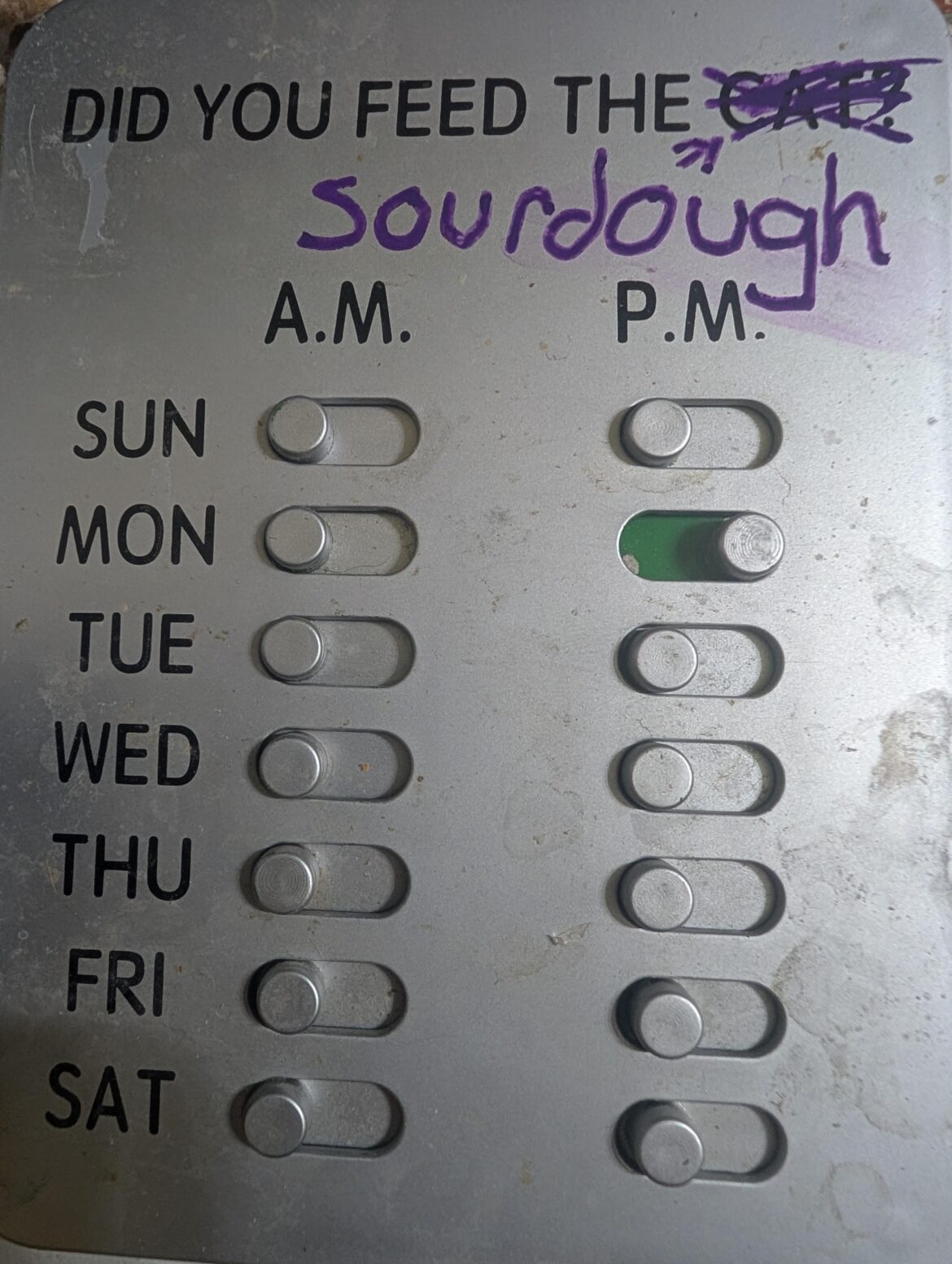 LPT: get a pet feeding reminder thing, use it for sourdough