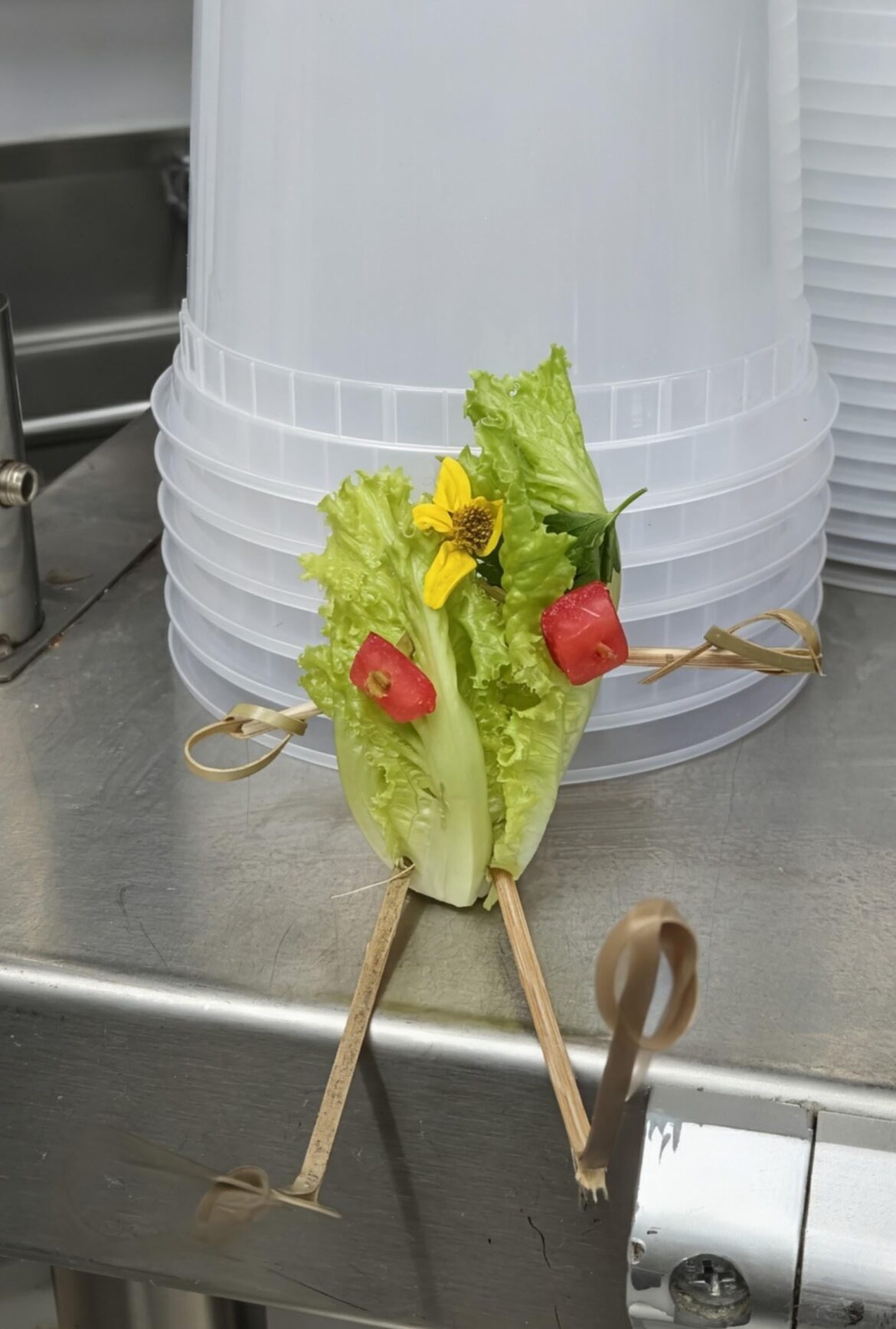 Slow Night. Working on my creative culinary side.