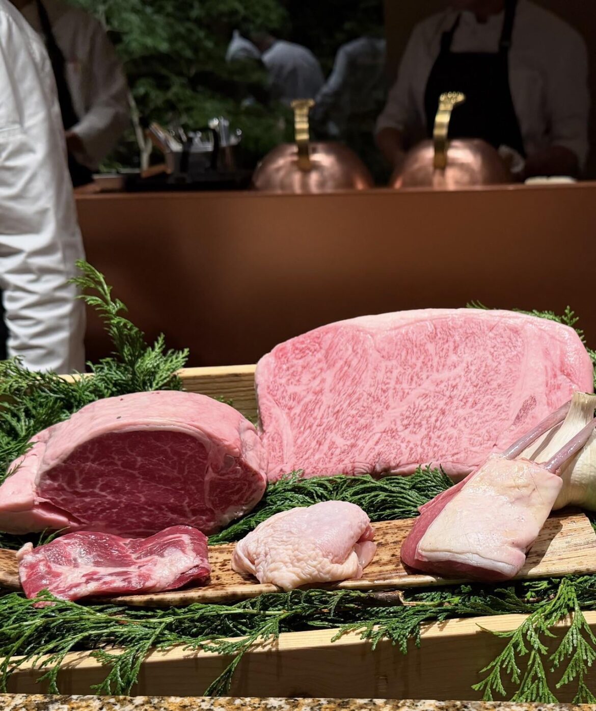 Meat they served at a very high end restaurant in Tokyo