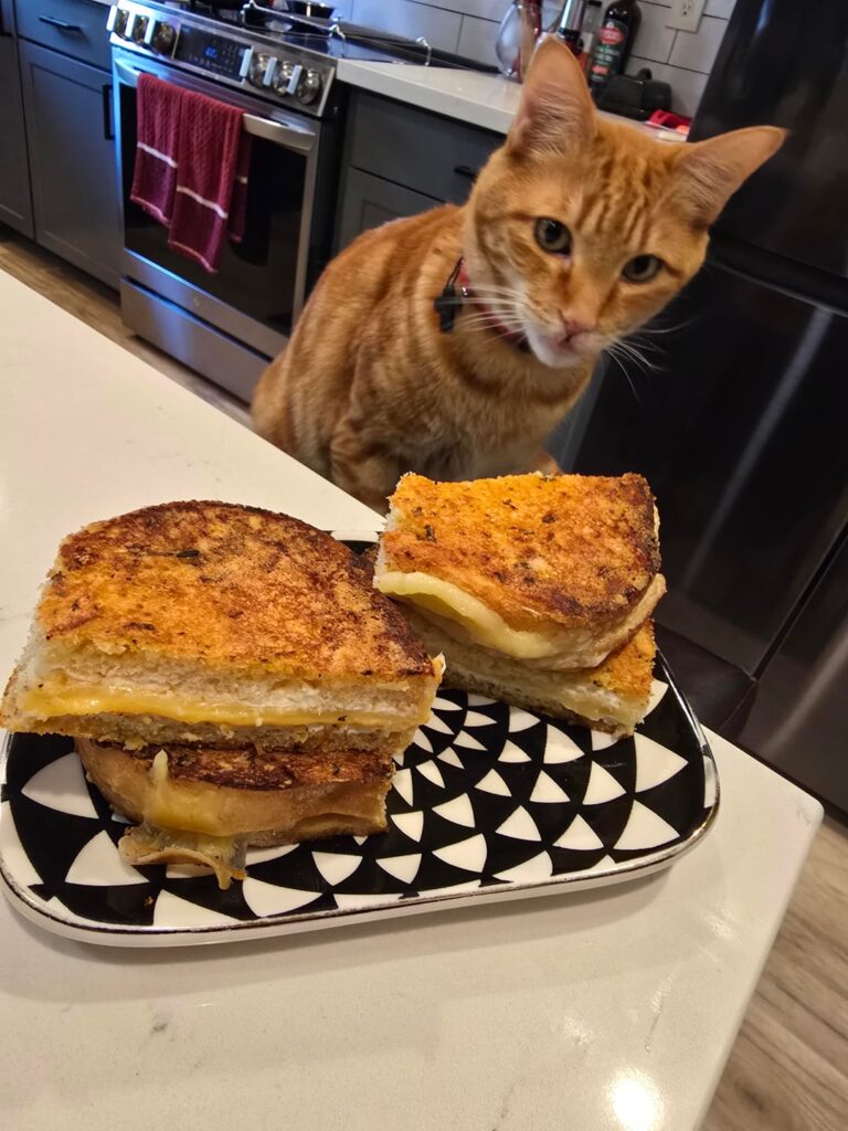 Don’t be saucy with me, Bearnaise! Don't be saucy with me, Bearnaise!