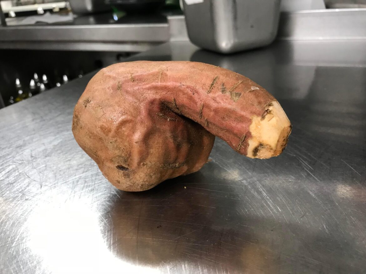 Showing you my dick-tater until I get banned. Day 1