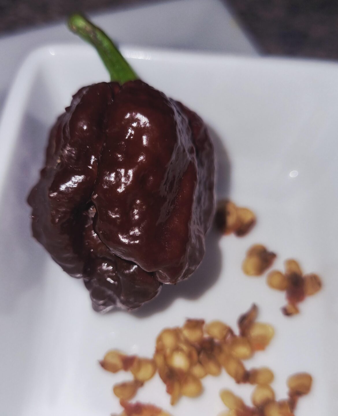 Success! Chocolate Carolina Reaper